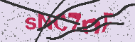 Captcha認証コード